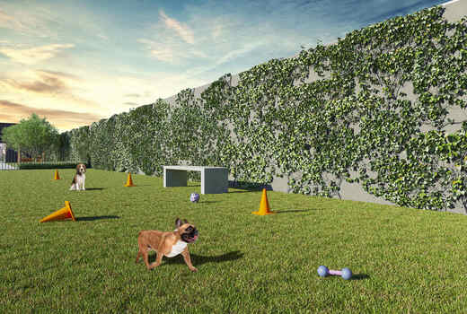 Apartamento, 2 quartos, 33 m² - Foto 12