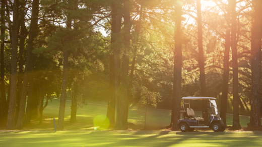 Apartamento, 4 quartos, 382 m² - Foto 25