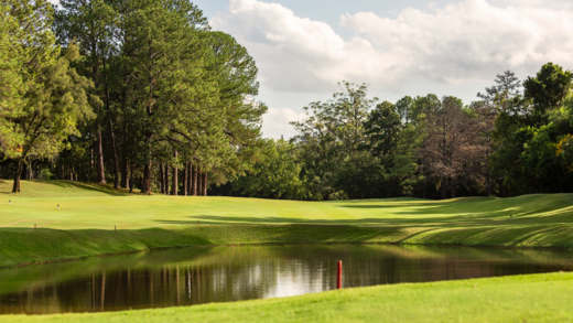 Apartamento, 4 quartos, 382 m² - Foto 26