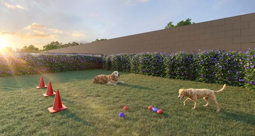 Apartamento, 2 quartos, 31 m² - Foto 12