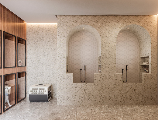 Cobertura, 4 quartos, 599 m² - Foto 15