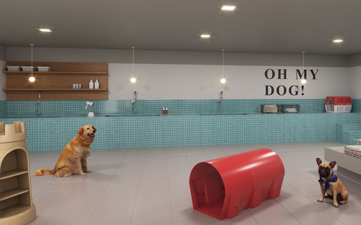 Conheça Pet care do imóvel - Apartamento 1 quarto à venda Santo Cristo, Rio de Janeiro - R$ 336.681 - II-27803-45323 - 9 Pet care - Apartamento 1 quarto à venda Santo Cristo, Rio de Janeiro - R$ 336.681 - II-27803-45323 - 9