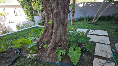 Casa de Condomínio, 5 quartos - Foto 21