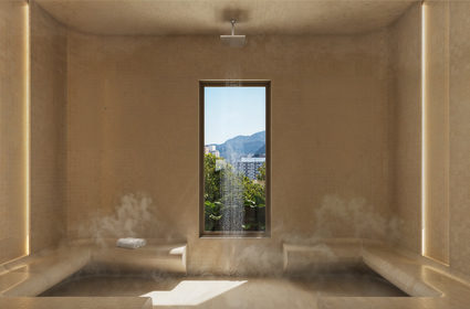206 sauna