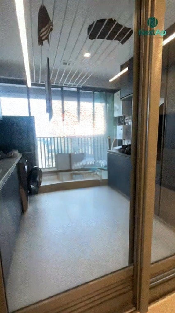 Miniatura 24