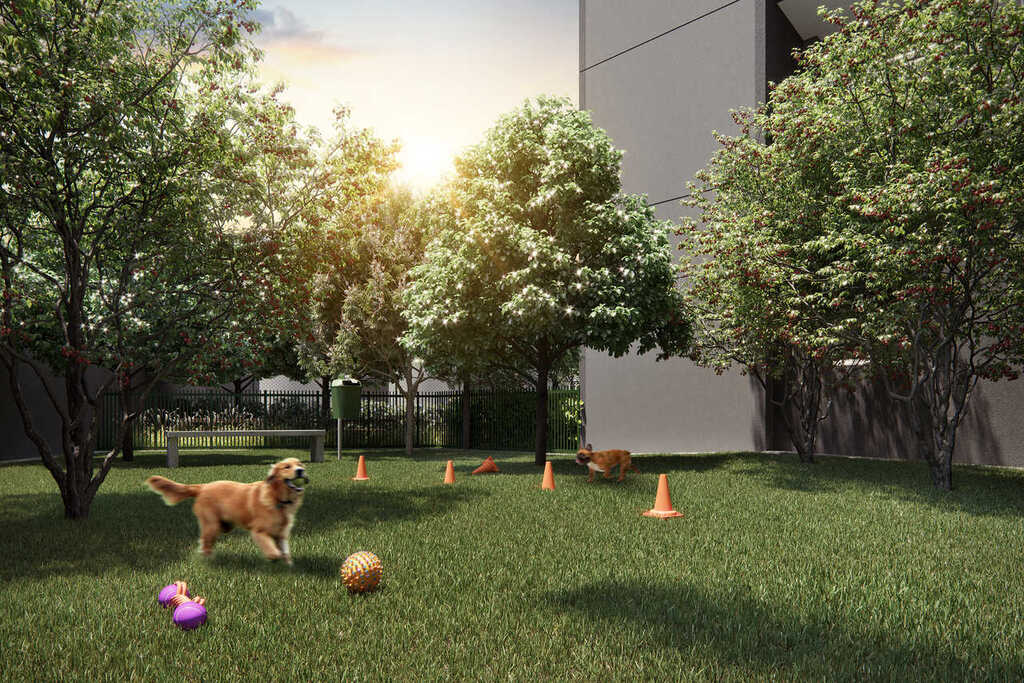 Apartamento, 2 quartos, 33 m² - Foto 11