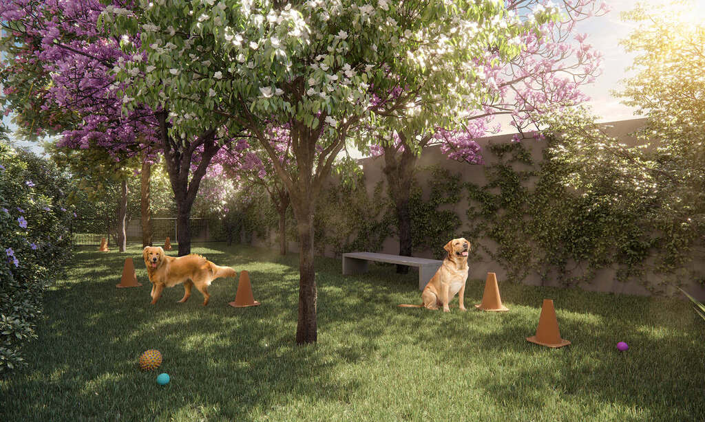 Apartamento, 1 quarto, 24 m² - Foto 14