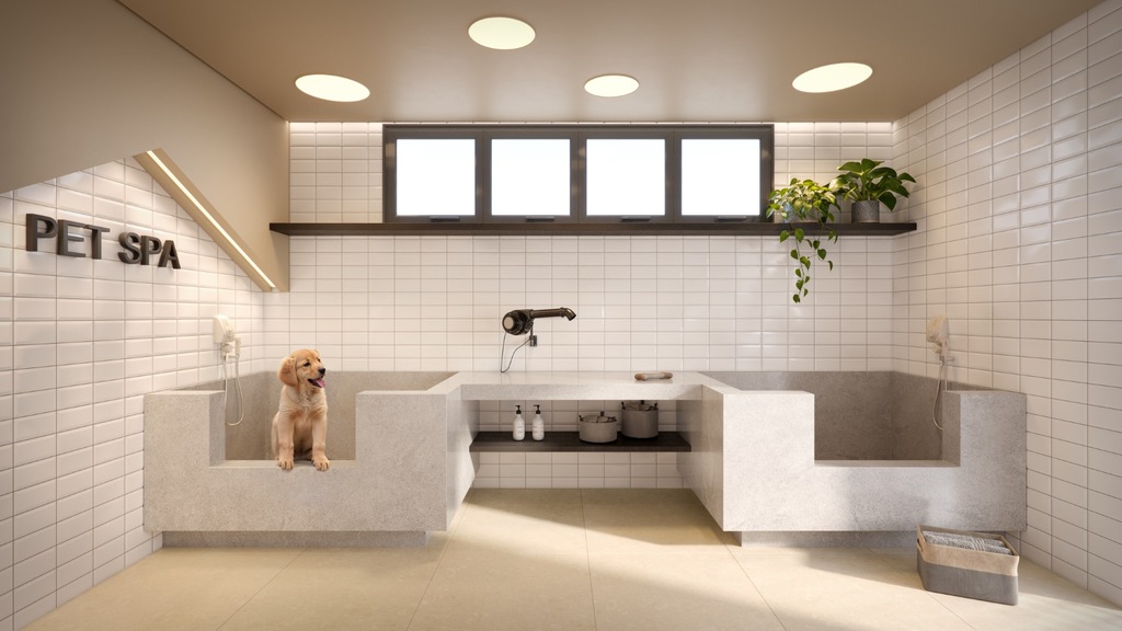 Pet care
