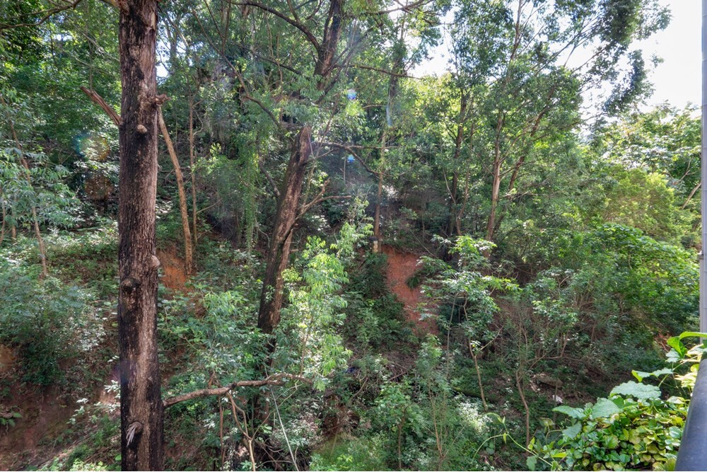 Apartamento, 2 quartos, 54 m² - Foto 23