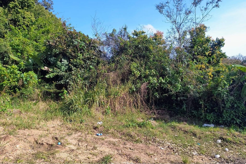 Terreno/Lote Residencial para venda no bairro Eldorado do Sul em Eldorado do Sul