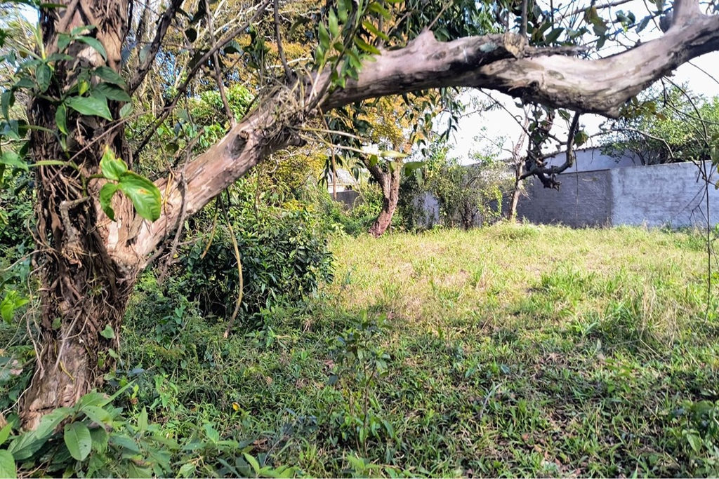 Terreno/Lote Residencial para venda no bairro Eldorado do Sul em Eldorado do Sul