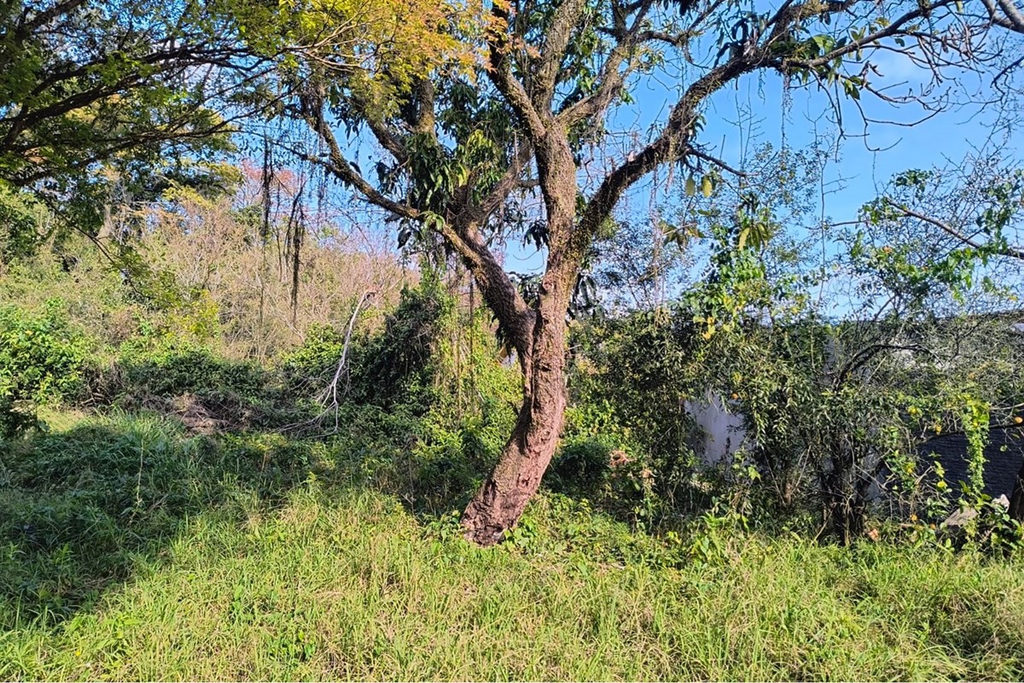 Terreno/Lote Residencial para venda no bairro Eldorado do Sul em Eldorado do Sul