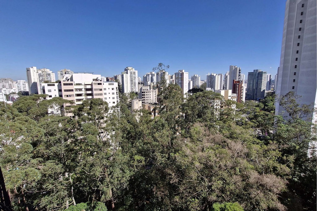 Apartamento, 4 quartos, 246 m² - Foto 46