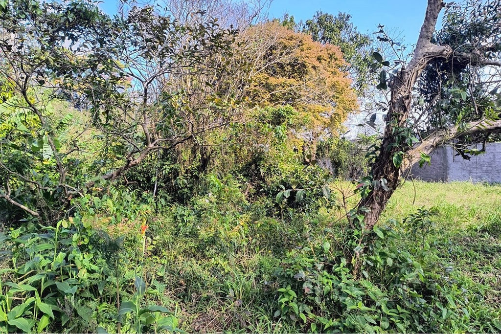 Terreno/Lote Residencial para venda no bairro Eldorado do Sul em Eldorado do Sul