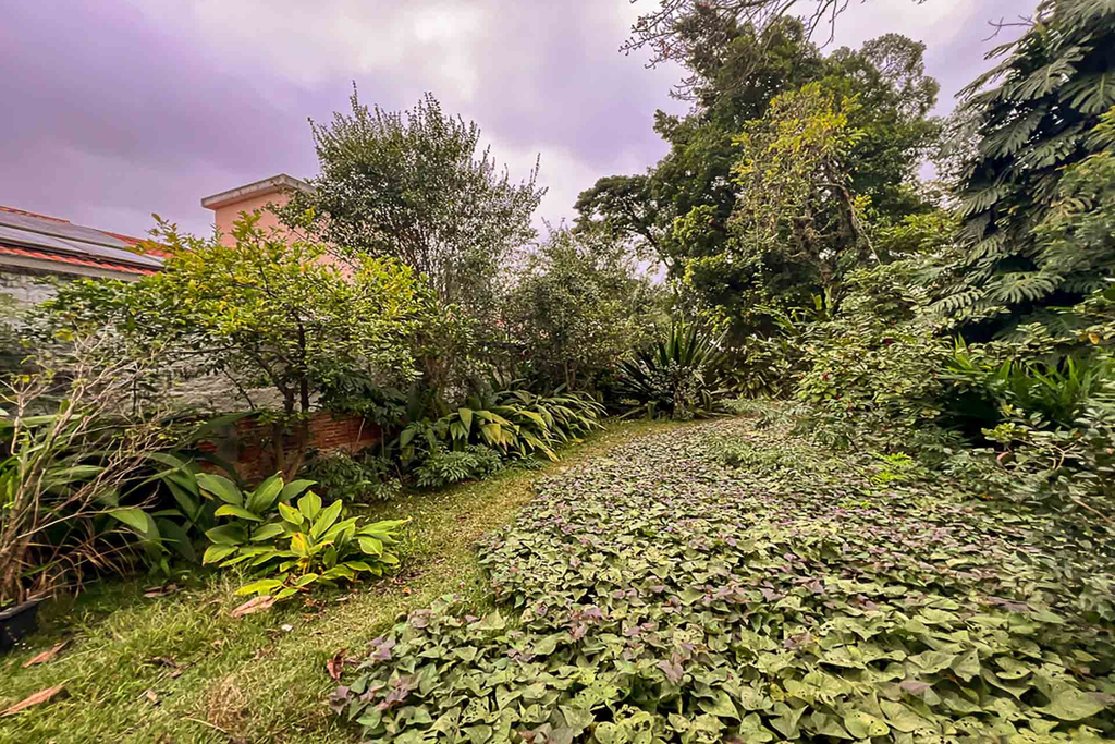 Terreno, 788 m² - Foto 9