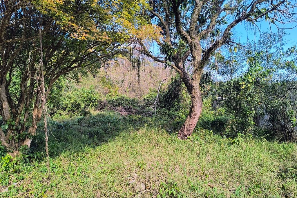 Terreno/Lote Residencial para venda no bairro Eldorado do Sul em Eldorado do Sul