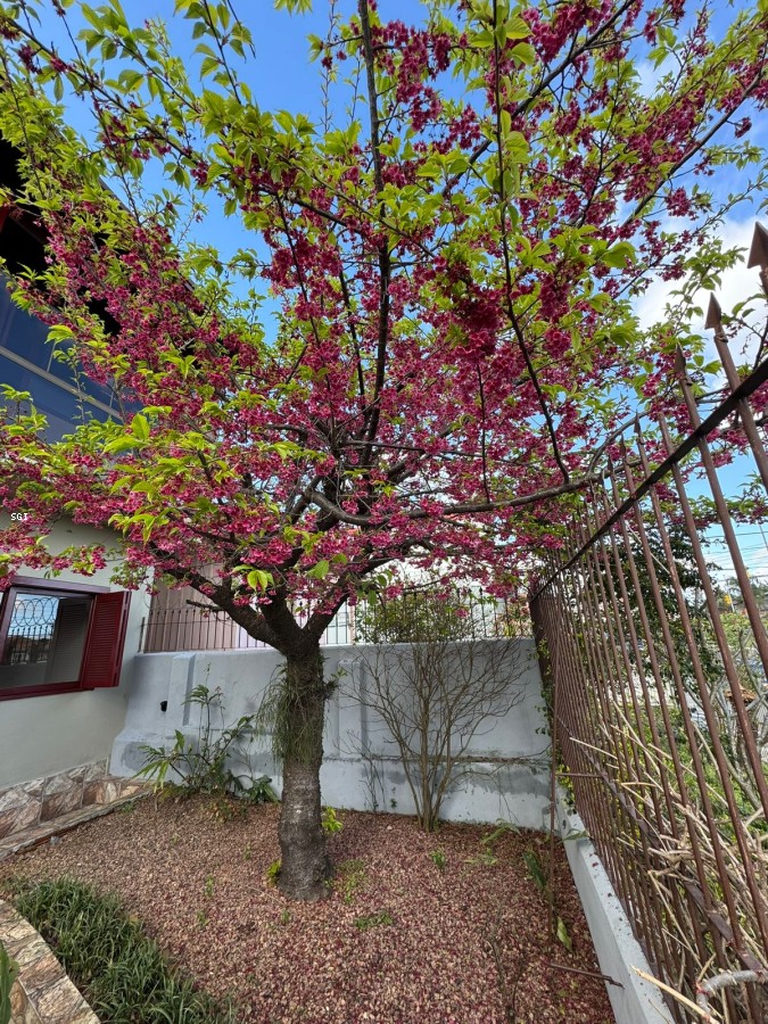 Casa para venda no bairro Jardim Leopoldina em Porto Alegre