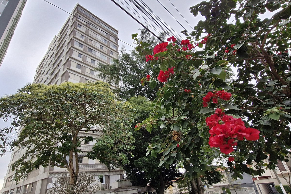 Apartamento, 3 quartos, 91 m² - Foto 18