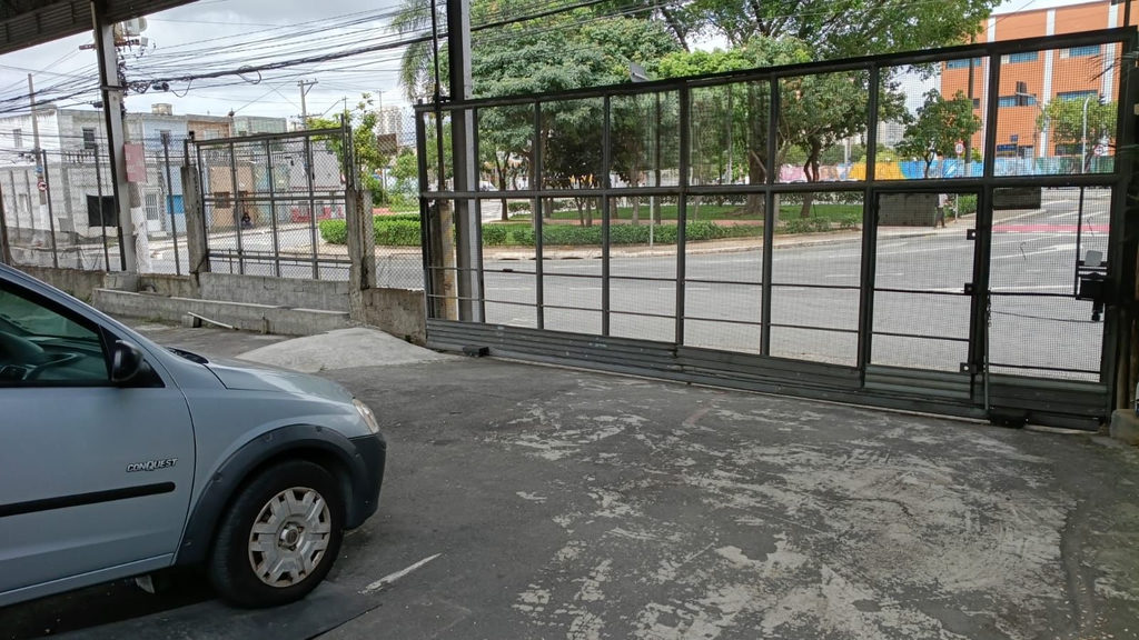 Miniatura 10