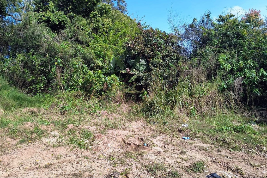 Terreno/Lote Residencial para venda no bairro Eldorado do Sul em Eldorado do Sul