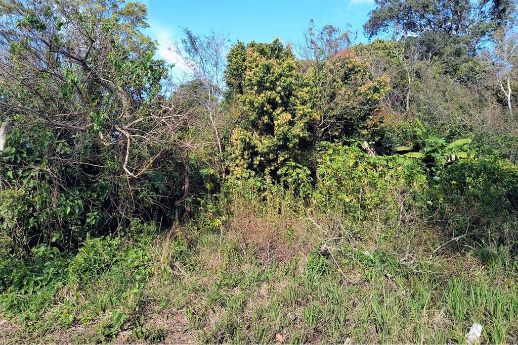 Terreno/Lote Residencial para venda no bairro Eldorado do Sul em Eldorado do Sul