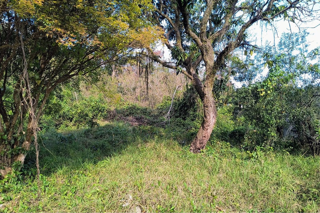 Terreno/Lote Residencial para venda no bairro Eldorado do Sul em Eldorado do Sul