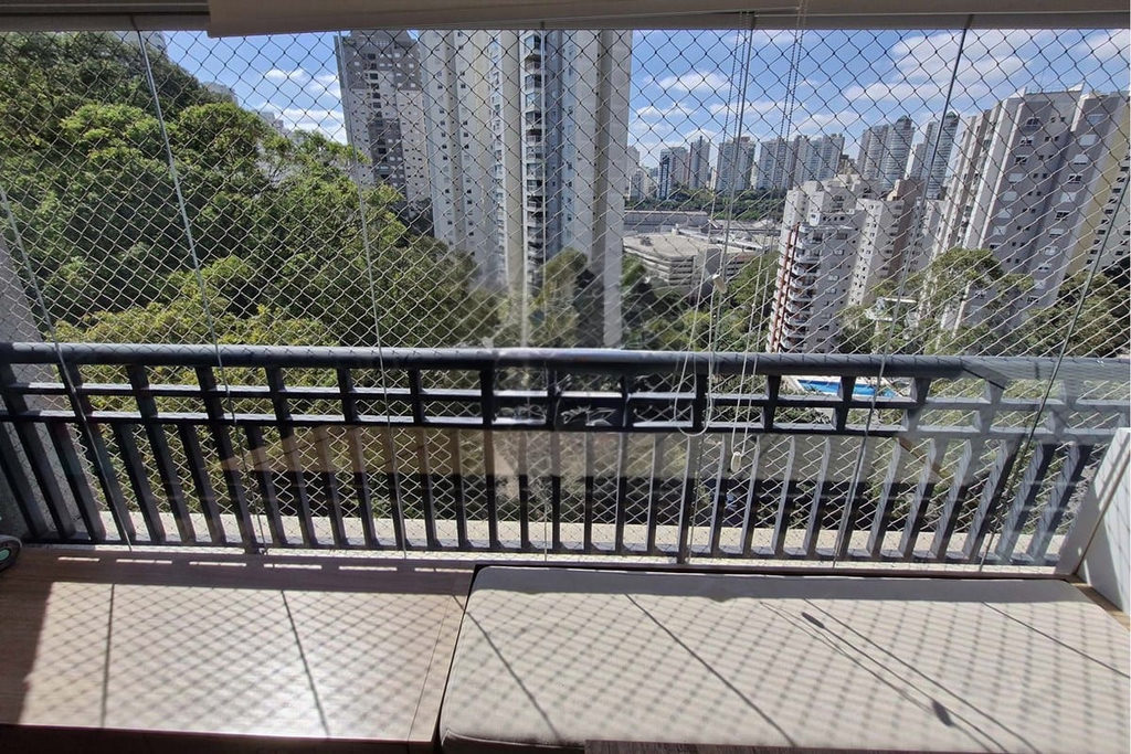 Miniatura 11