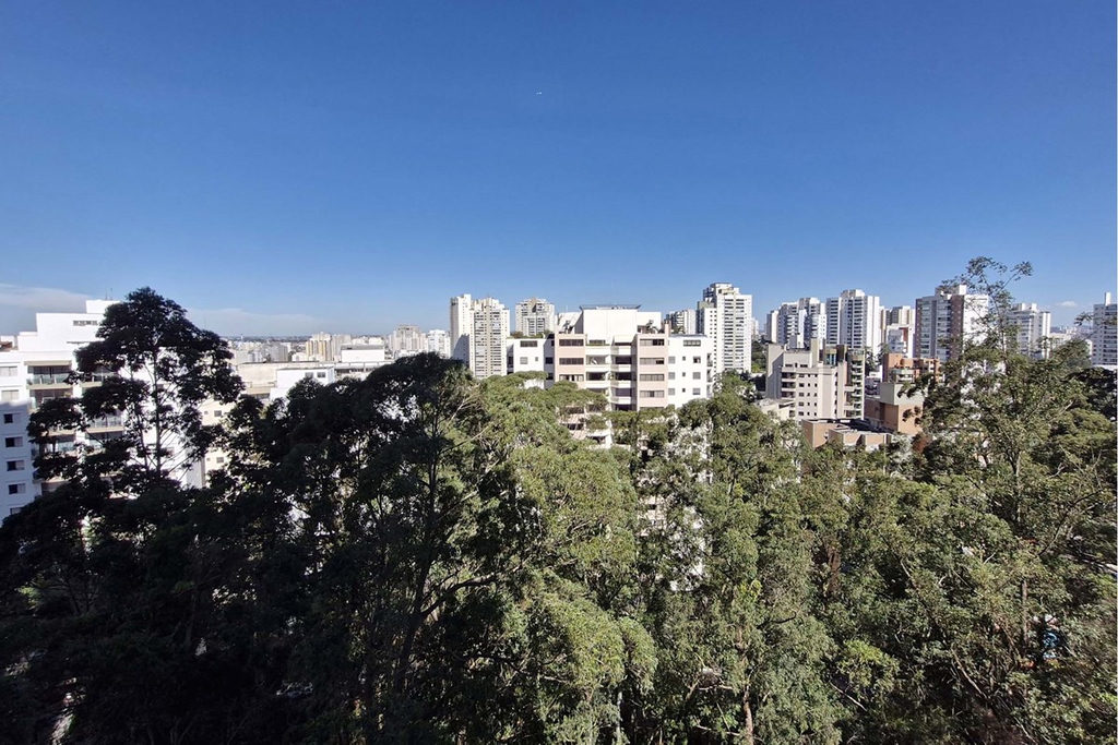 Apartamento, 4 quartos, 246 m² - Foto 7