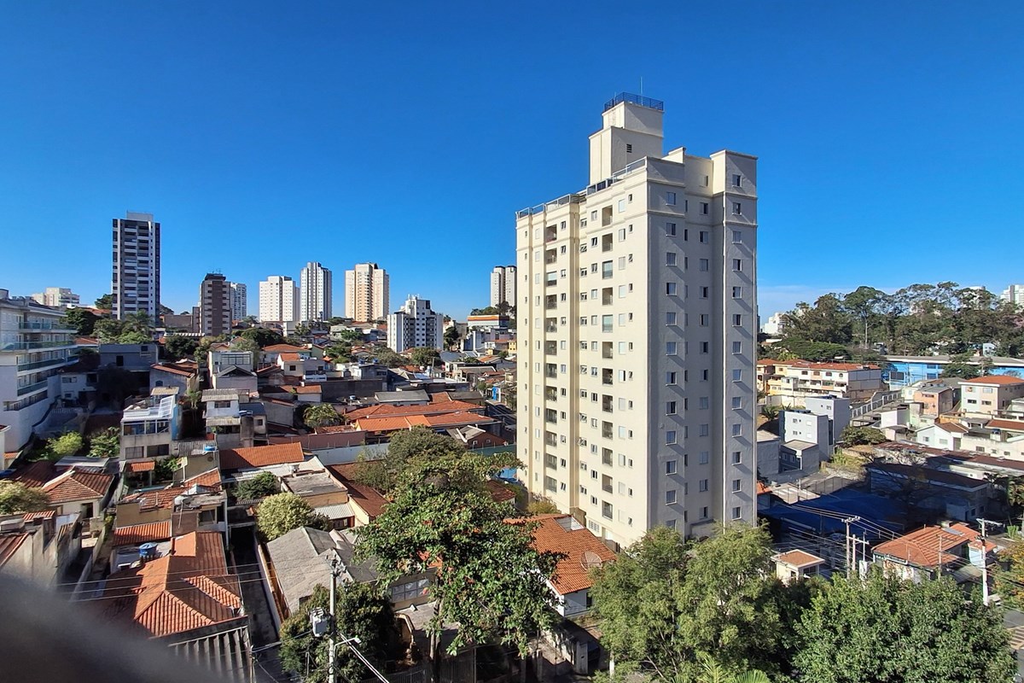 Miniatura 48