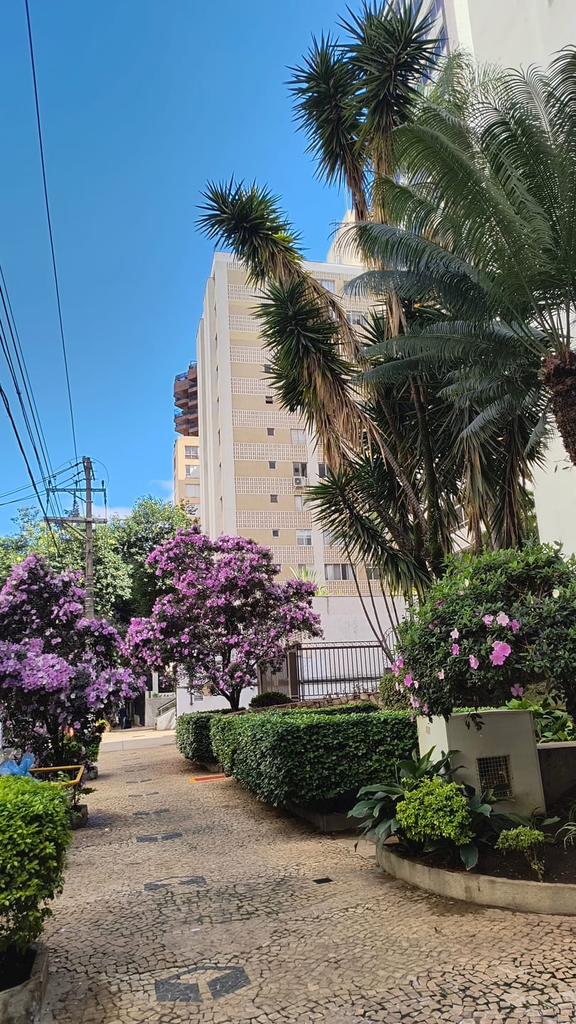 Apartamento, 3 quartos, 98 m² - Foto 21