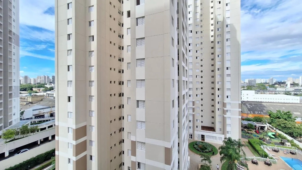 Miniatura 12
