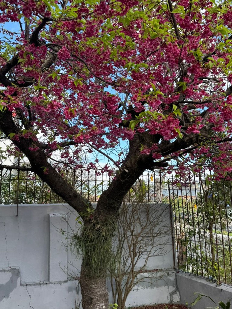 Casa para venda no bairro Jardim Leopoldina em Porto Alegre