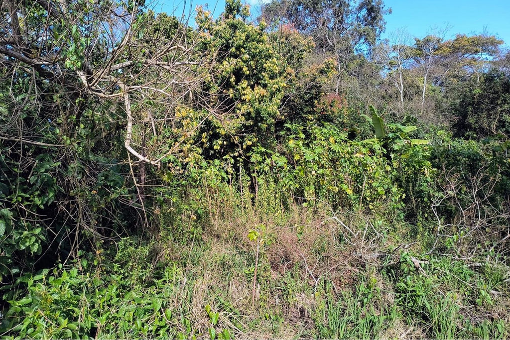 Terreno/Lote Residencial para venda no bairro Eldorado do Sul em Eldorado do Sul