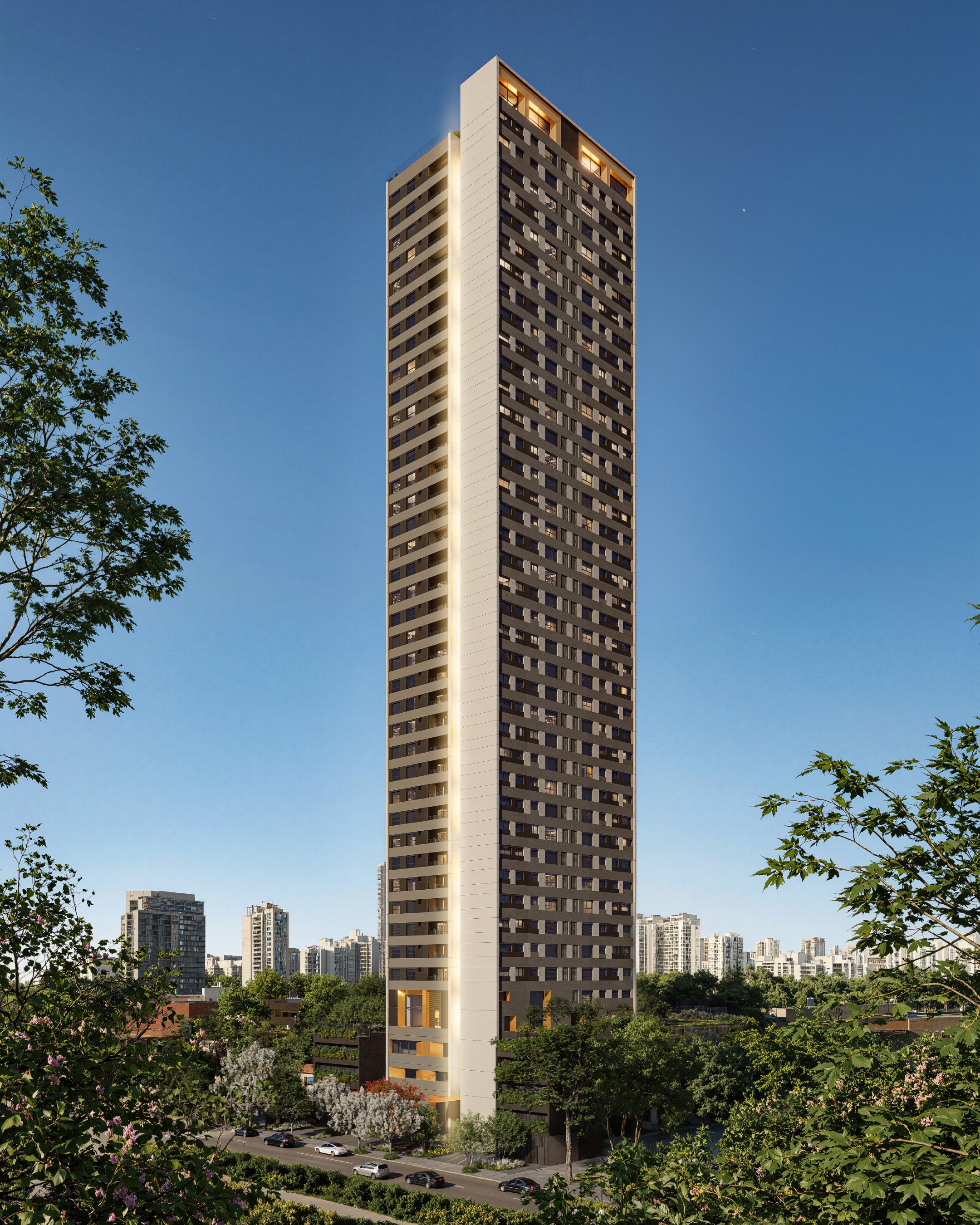 Imagem 2 - em Setor Bueno, Goiânia - GO