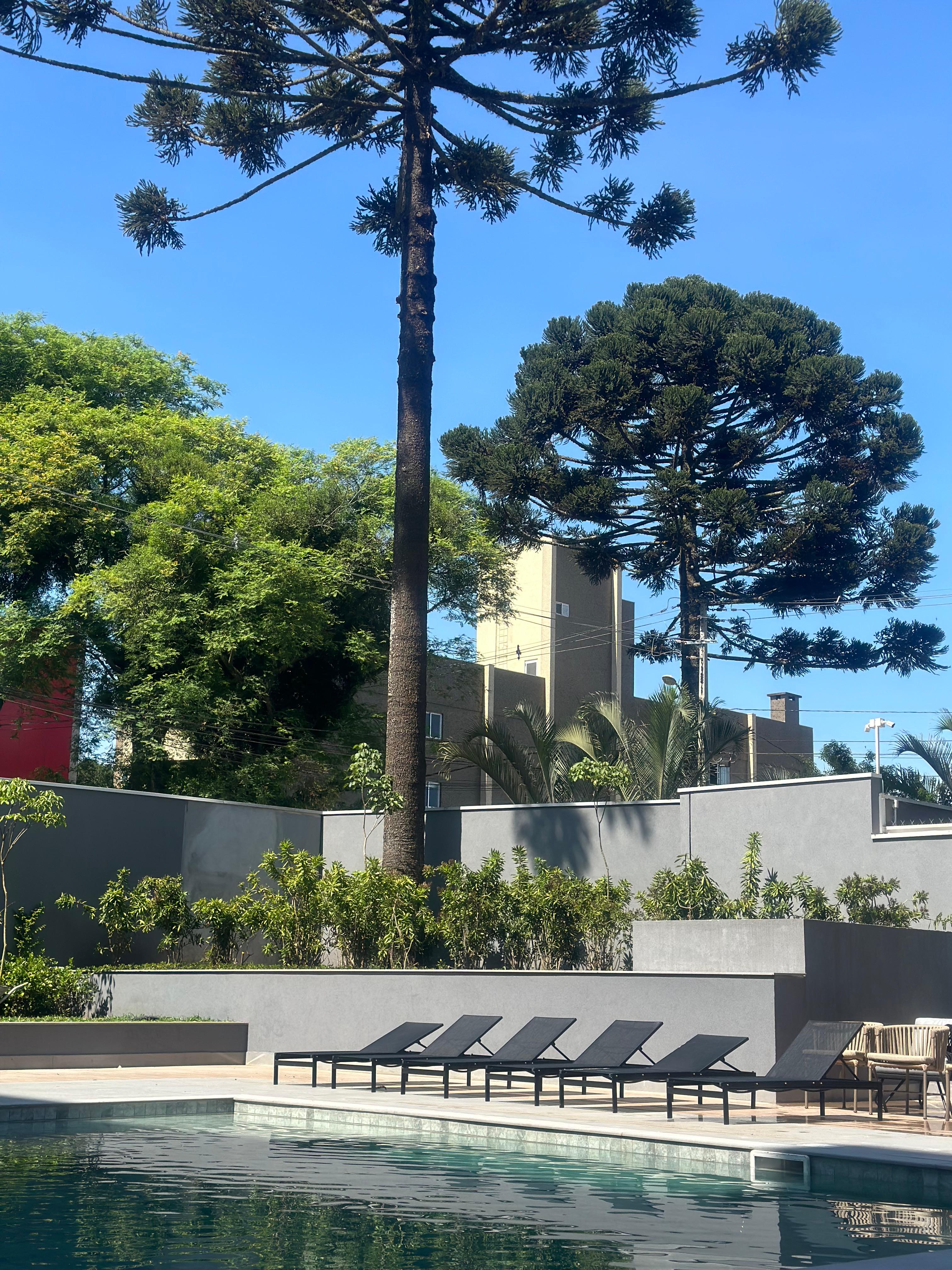 Seminário, Curitiba - PR — foto 2