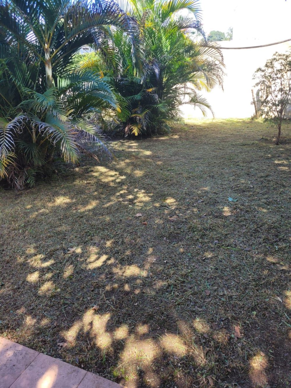 Imagem 4 -  em Campina do Siqueira, Curitiba - PR