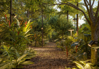 Bosque Vila Nova — foto 15 de 19