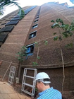 Arbórea Itaim