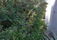 #395 - Terreno/Lote Residencial para Venda em Porto Alegre - RS - 2