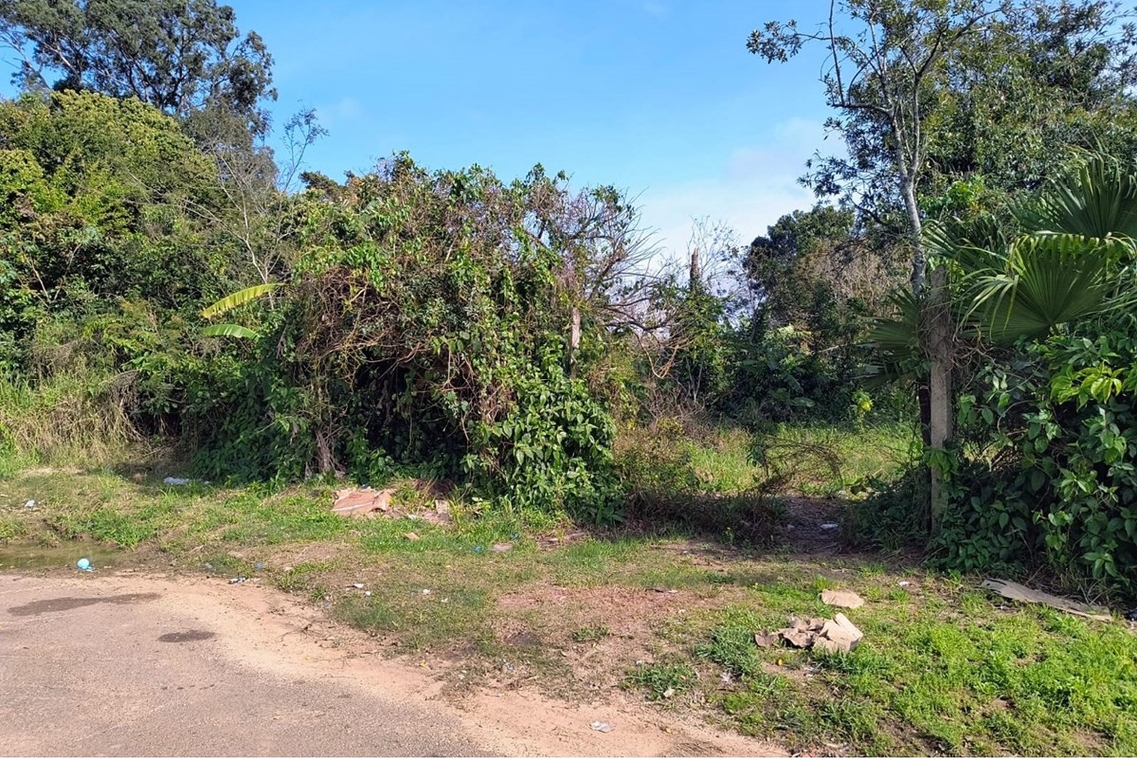 IJ 181 Lote 612541045-3