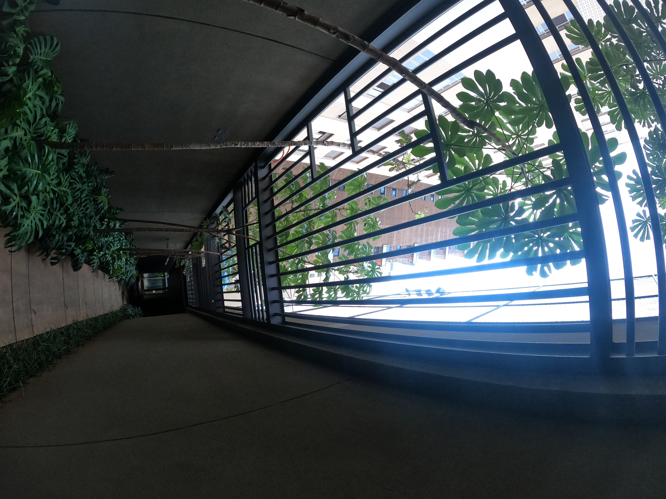Arbórea Itaim — foto 10 de 13