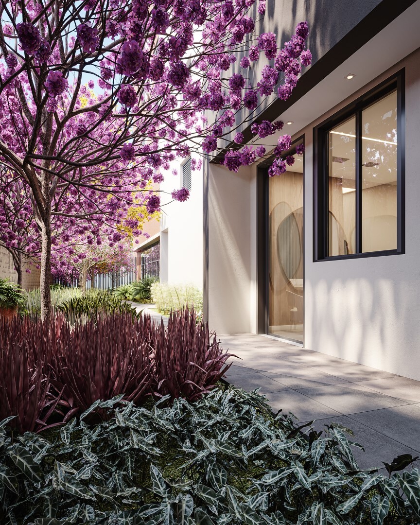 Raiz by Paulo Mauro - NR