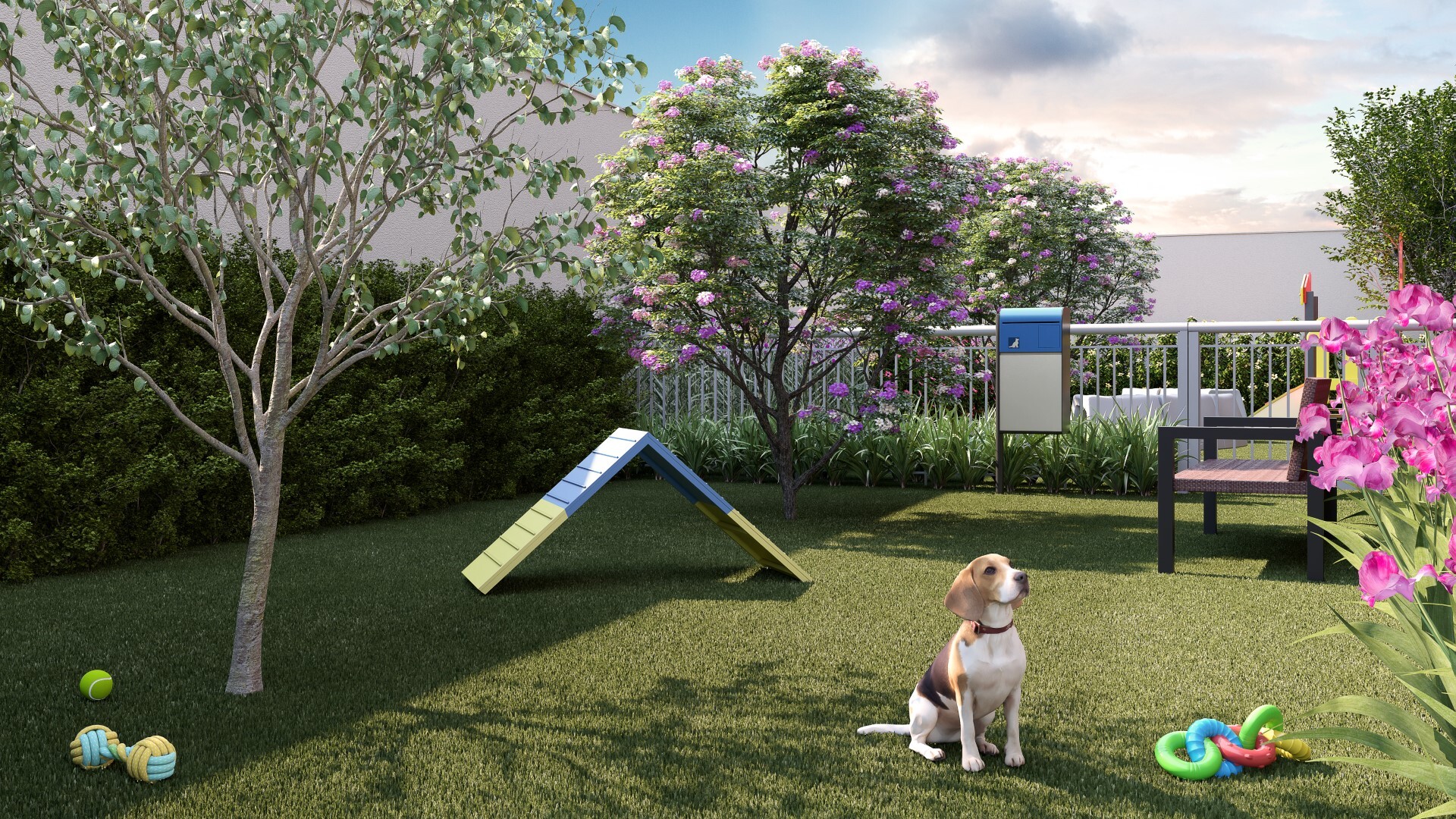 Pet place