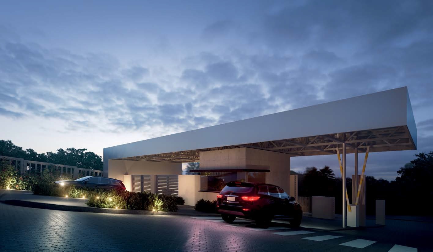 Joy Volta da Figueira - Cotiza