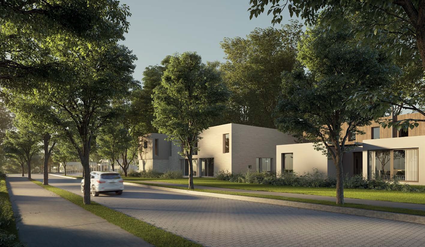 Joy Volta da Figueira - Cotiza