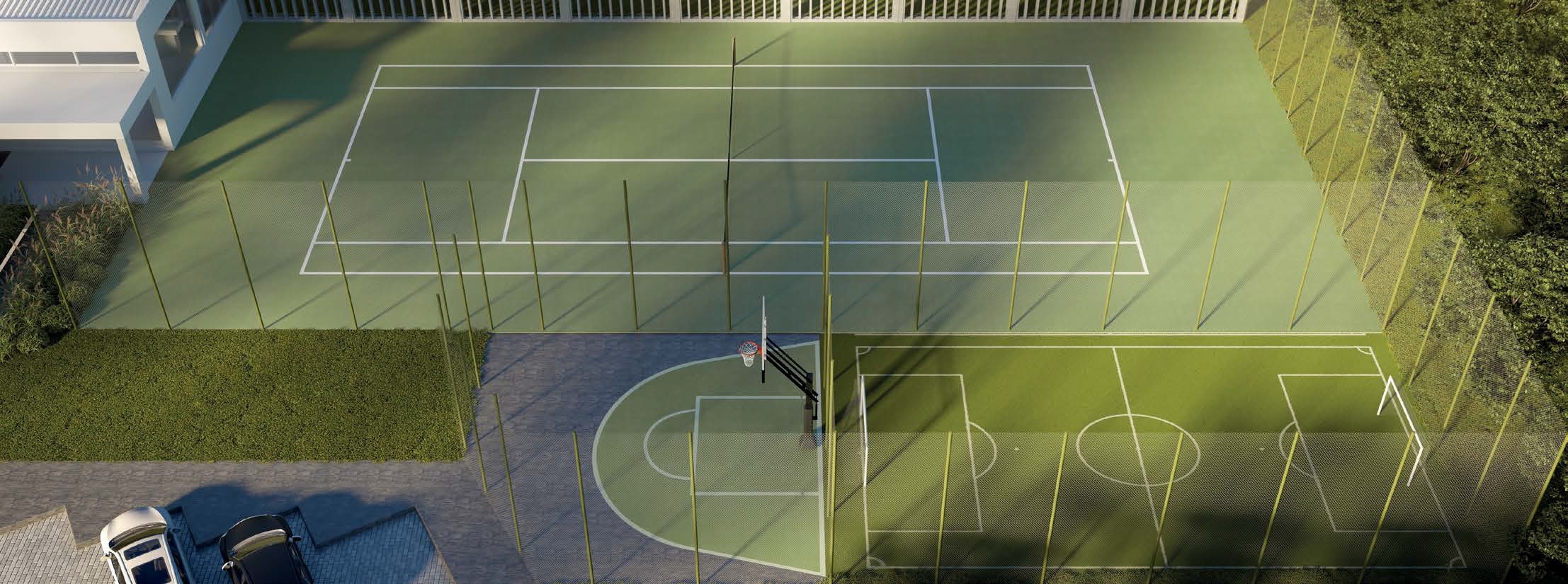 Joy Volta da Figueira - Cotiza