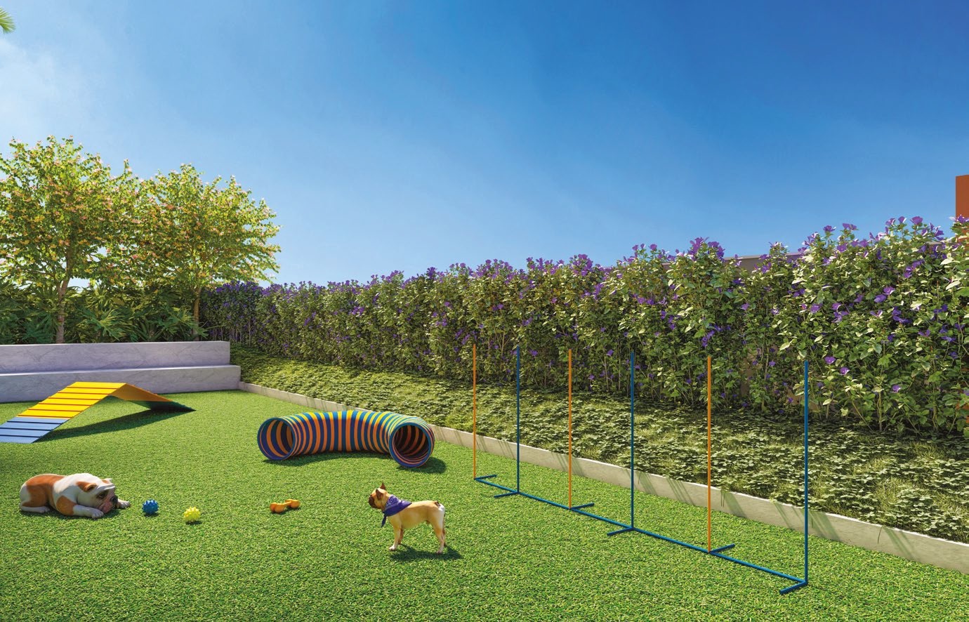 Mirai Suzano Patriani - Patriani SP Mirai Suzano Patriani - Patriani SP