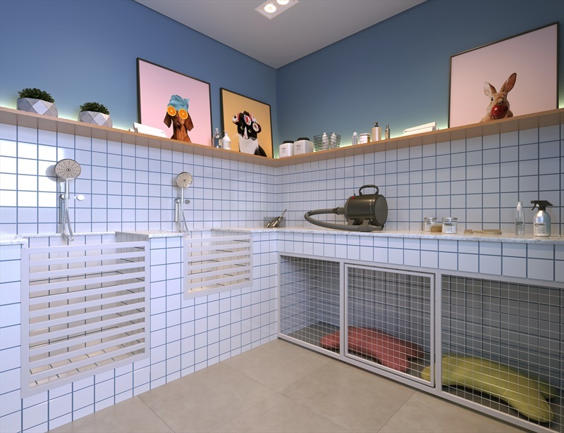 Pet carre