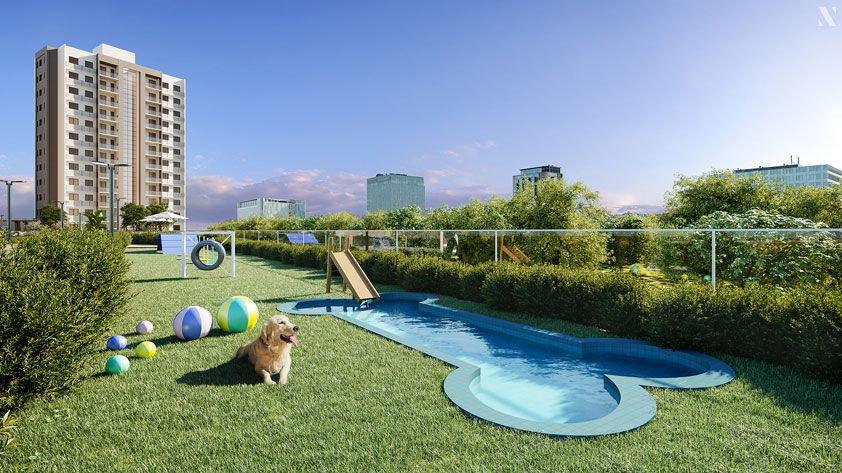 Pet place
