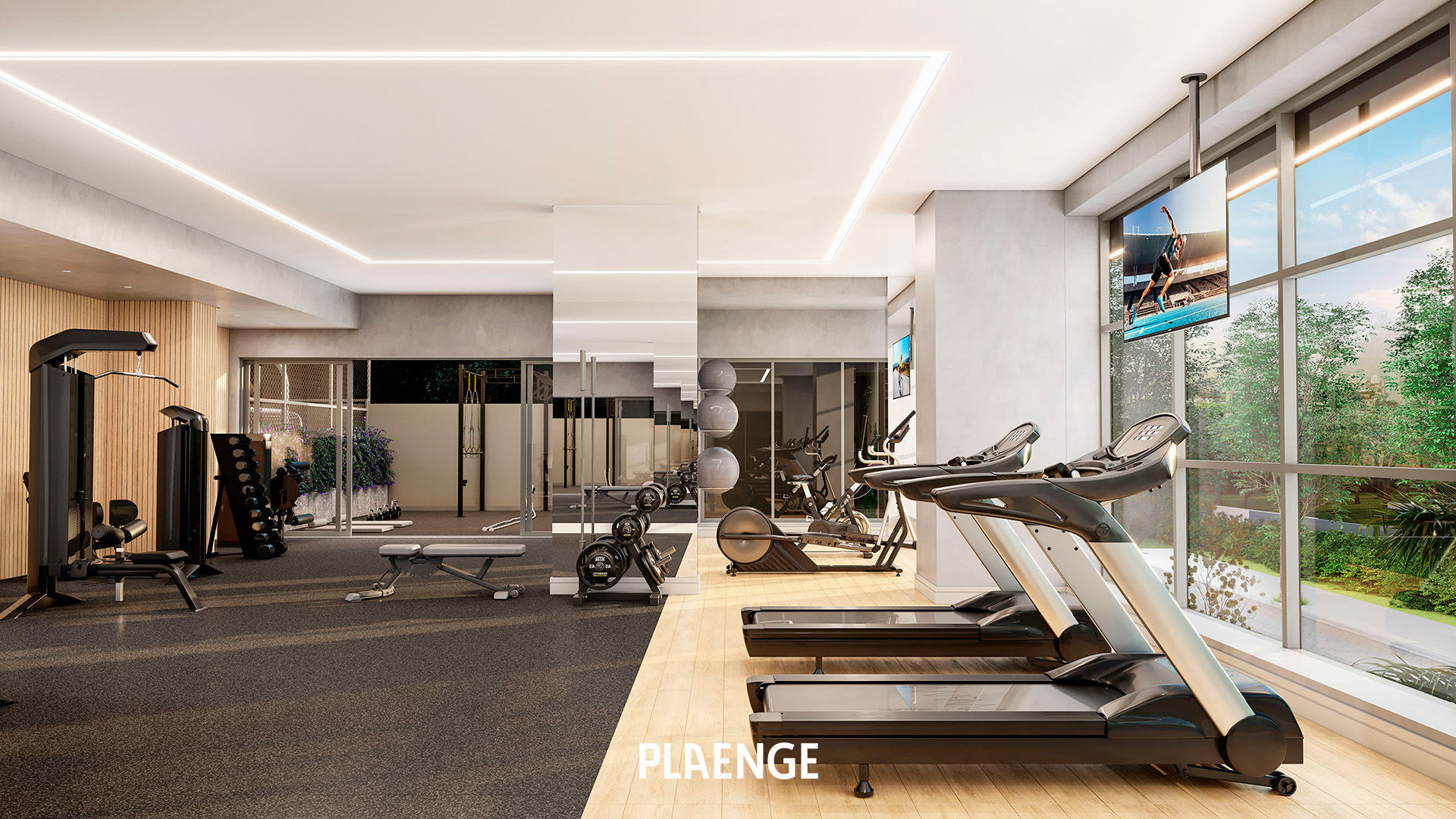 The Mark - Plaenge SP Interior